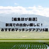 新潟での出会い探しにおすすめのマッチングアプリ5選！真剣な恋活・婚活をしたい人必見